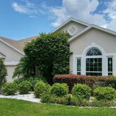 20819105 1302822586512897 9125742427976857703 O